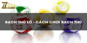bạch thủ lô