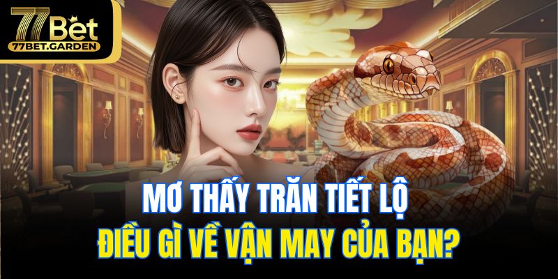 Mơ thấy trăn tiết lộ điều gì về vận may của bạn?